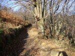 DSC02742.JPG