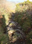 DSC02746.JPG