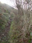 DSC02747.JPG
