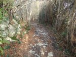 DSC02748.JPG