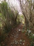 DSC02749.JPG