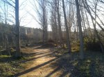 2013-01-05 17.05.43.jpg