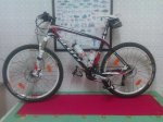 BICI.JPG