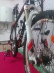 BICI 5.JPG