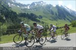 suisse.jpg