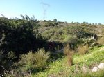 CIMG3928 (Copiar).JPG