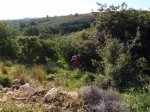 CIMG3929 (Copiar).JPG