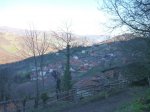 P1120365_800x600.jpg