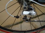DSC04895.JPG