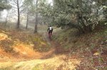 DSCF0948.JPG