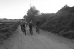 P1060755_800x533.jpg