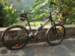 orbea en SF.JPG