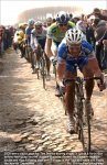 boonenroubaixfive.jpg