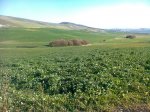 IMG-20130106-WA0052.jpg