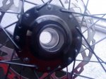 DSC07507-001.JPG