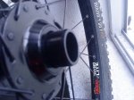 DSC07508-001.JPG