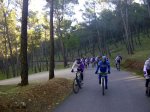 IMG-20130107-WA0066.jpg