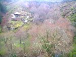 Foto0019.jpg