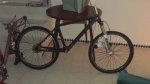 IMAG0275.jpg