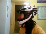 casco perfil.jpg
