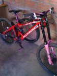 IMG_20130104_134930.jpg