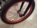 20121030_124910_opt.jpg