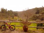 2012-12-06 09_52_53.jpg