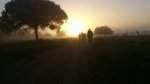 resized_DSC_0723.jpg