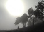 NIEBLA.jpg