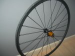 DSCN5074.JPG