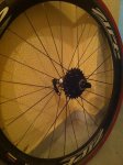 ZIPP foro.JPG