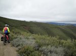 Camino2 204.1.jpg