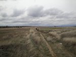 Camino2 087.1.jpg
