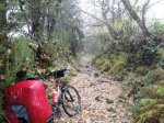 Camino2 155.1.jpg