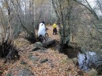 Camino2 177.1.jpg