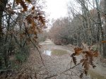 Camino2 095.1.jpg