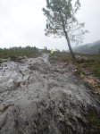 Camino2 214.1.jpg