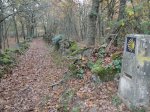 Camino2 237.1.jpg
