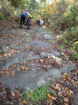Camino2 273.1.jpg