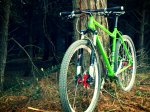 photomania_9244428.jpg