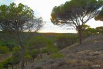 DSCF0956.JPG