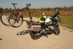 santa cruz bmw.jpg