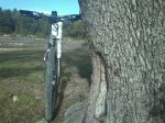 bici 2 ok.jpg