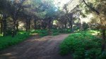 resized_Corredor verde.jpg