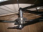 Zipp (4).JPG