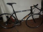 goka greenwich5.jpg