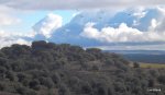 DSCF0972.JPG