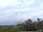 DSCF0977.JPG