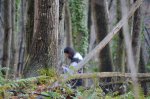 DSC_1001_01.JPG