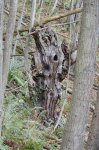 DSC_1019_01.JPG